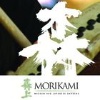 Morikami Museum