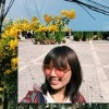 NingZk
