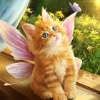 Mon Cherie