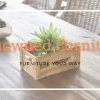Renowned Furniture