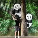 一个小白设计