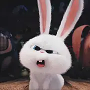 蔡七七