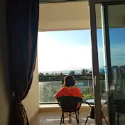 我家猫叫戏精