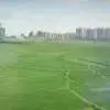 粒子哟