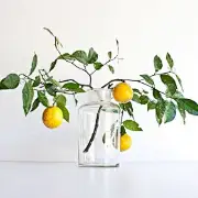 一木了事