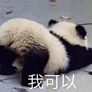 能吃能睡我叫能能