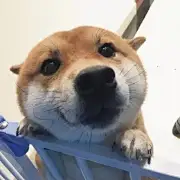 二十一吖丶