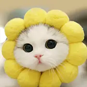 小嘉系出逃