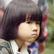 赛恩的猫
