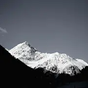 八月白槿