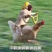 网瘾仙女