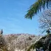 张尚勋