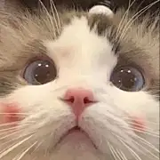 像你阿
