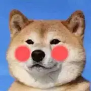 手扶拖鞋斯基