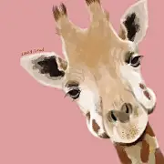 晨柯