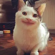 嘟嘟嘟喋