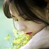 愤怒的生鱼片