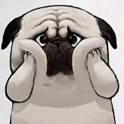 你这头居