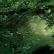 关于来意
