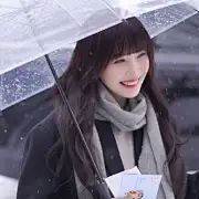 朴灿果