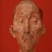 吸片的番茄