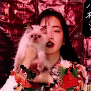 在晚饭之前