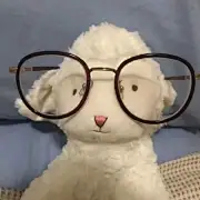 我从来也不踢足球