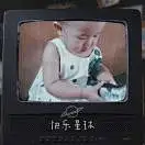 叶子没了