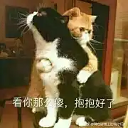 莺时十一