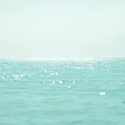 喝奶茶上瘾人士