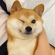 欲揽湖中月