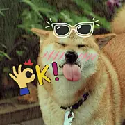 你好汽水