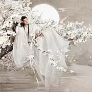 舒小柒