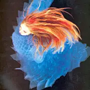 萌百万