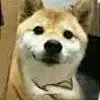 励志成为多边形战士
