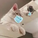 偶小黄