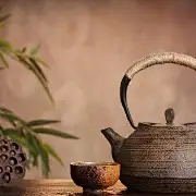 景观见习生