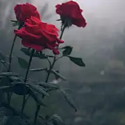 潮潮嚷嚷