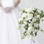 茶花园的草