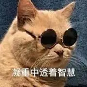 孤独的总是靓仔