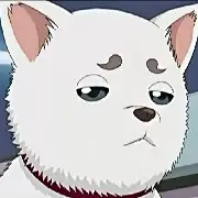 懒孩纸