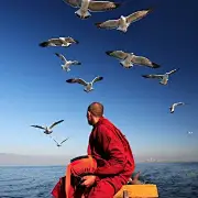 虚词