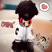 陌上绵羊来