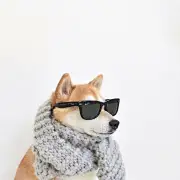 王什么昱