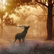 弥山有鹿