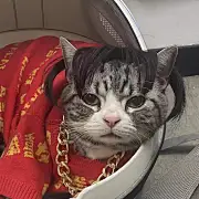 一瓢大师兄