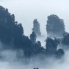 比较怀旧