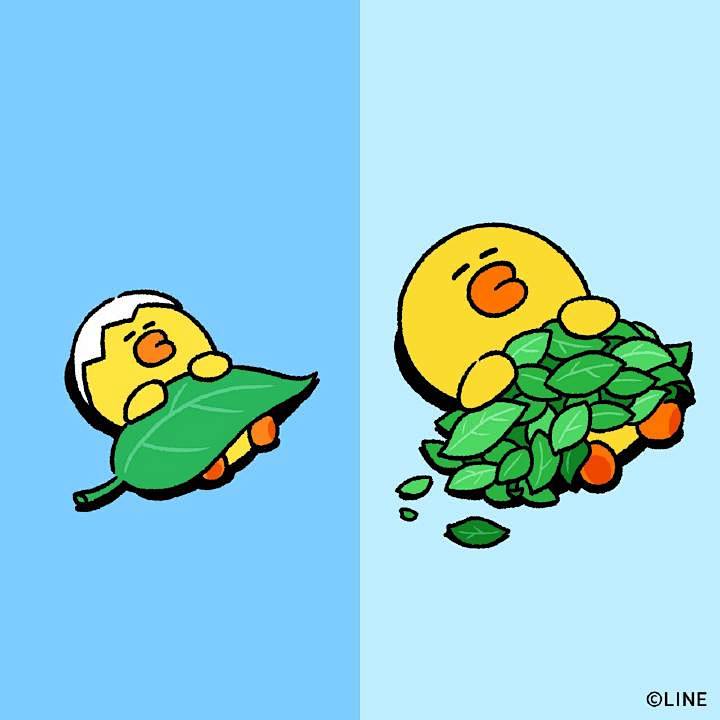 补个回笼觉