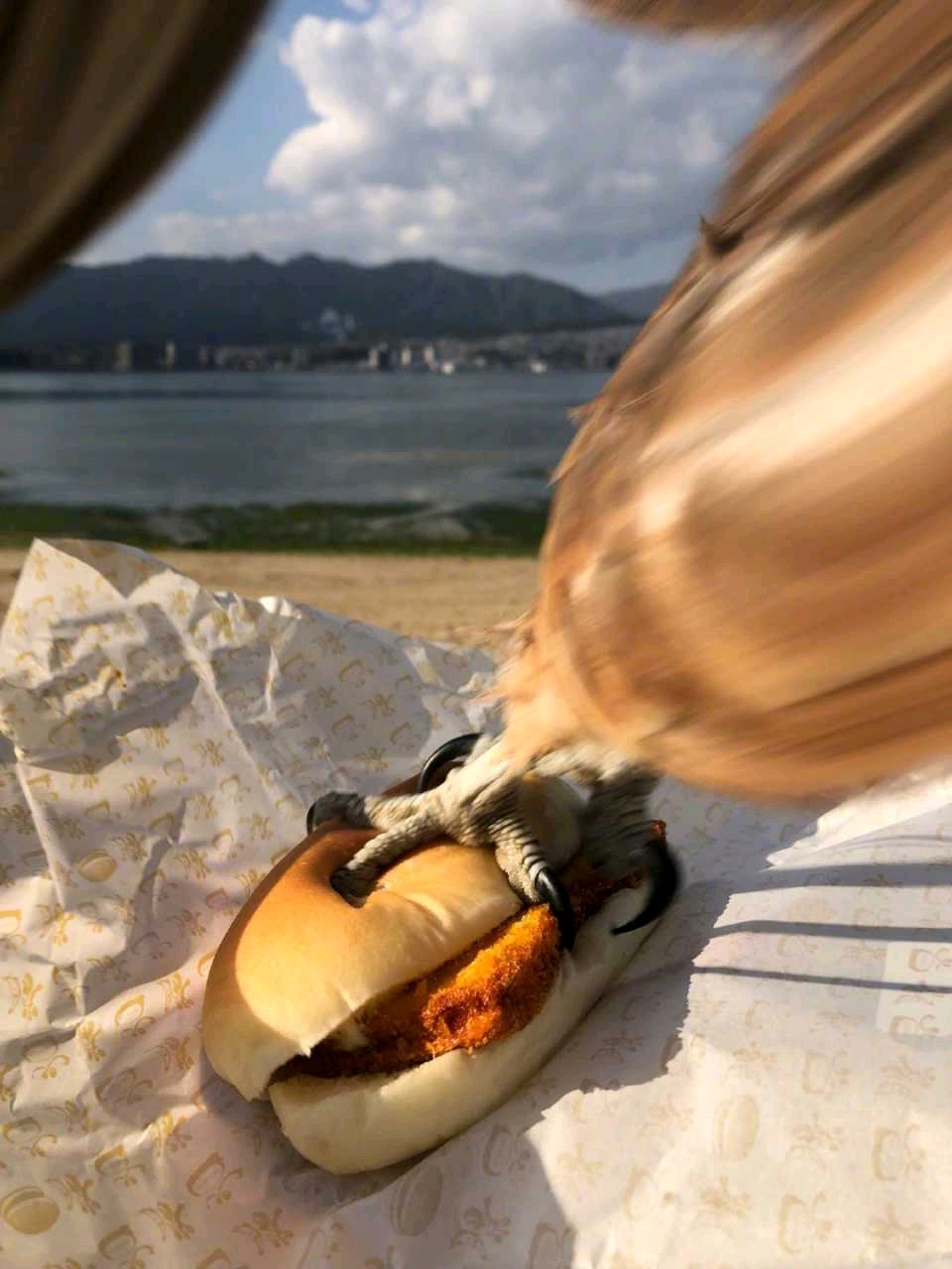 崩沙卡拉卡