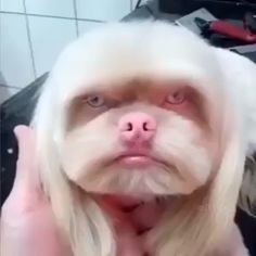 溜2